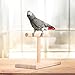 foreverwen Bird Cage Stand Parrot Perch Training Stands Playstand Playgound Play Gym for Concures Parakeets Lovebirds Cockatiels,Office Wooden Stand Bird Bite Toy Springboardthumb 4