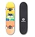 MINORITY 32inch Maple Skateboard|Trick Skateboard for Beginners, Intermediate and Pros (Owl)