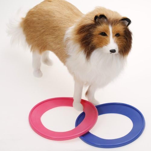 EWFSEF Pet Dog Ring Frisbee Dog Throw Toy (S Random Color) Amazon.co.uk Kitchen & Home
