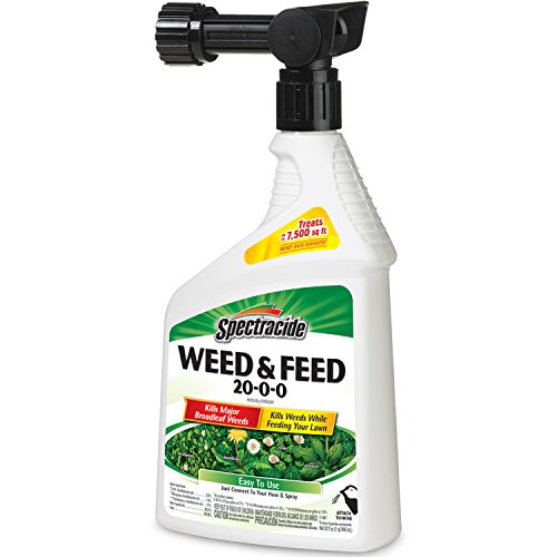 The 10 best turf builder weed and feed 2019 Infestis Reviews