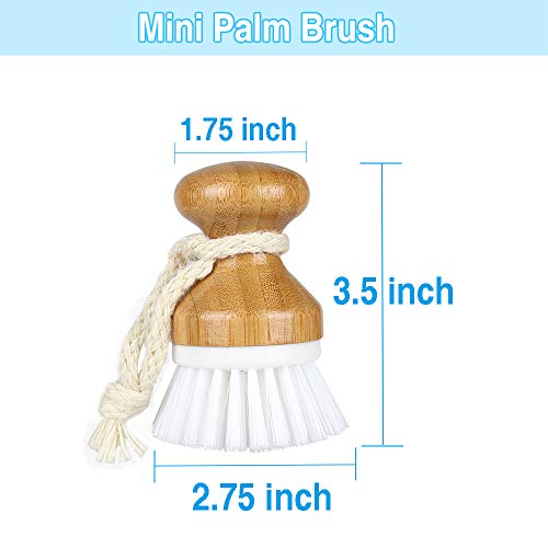Dish Brush with Durable Bristles Bamboo Grip for Dishes Pot Pan Kitchen Sink Vegetable Cleaning, 3 Pcs