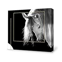 signwin-Canvas Wall Art-Black and White Horse-Canvas Prints Home Artwork Decoration for Living Room,Bedroom - 12x12 inches