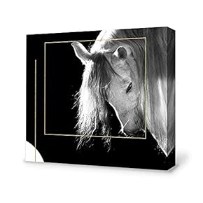 Canvas Wall Art-Black and White Horse-Canvas Prints Home Artwork Decoration for Living Room,Bedroom - 12x12 inches