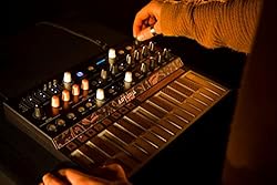 Arturia MicroFreak 25-key Paraphonic Hybrid