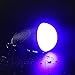 LED Night Light for Kids 'Lite-My-Nite' | Rechargeable Bedroom Table Lamp with Remote Control | 3 Changing RGB Colors for Boys and Girls | Easy to Use | Great for Children's and Nursery Room Décor