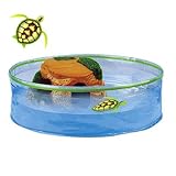 Zuru Turtle - Playset, Bulk,6Pc Toy