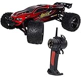 Rabing Remote Control Car F11 High Speed 1/12 Scale RC Car 2.4GHz 2WD Remote Control Trucks Off-Road 40+KM/H Radio Controlled Electric Vehicle-Red