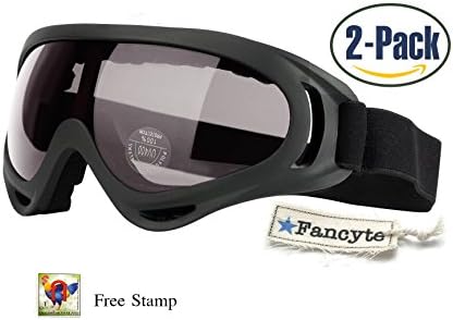 FancyteGoggles Pack of 2 for Men,Women,Kids,Youth.Anti-Glare, Windproof,UV Protection.Great for Snowboard,Outdoor Work,Winter Sports,Construction (Black)