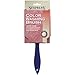 PURDY 503414700 4-Inch Washing Brush
