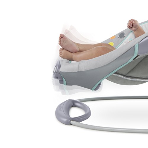 the gentle automatic bouncer