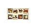 Quilting Treasures Unbridled Horse Picture Patches 24in Panel Cream Fabric