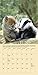 Unlikely Friendships Mini Wall Calendar 2017