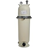 Pentair EC-160317 Clean & Clear 150 sq. ft. Cartridge Pool Filter