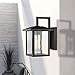 Emliviar Outdoor Wall Light, 1-Light Wall Sconce, Black Finish with Clear Glass, 20064B1