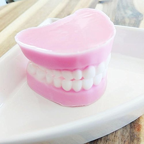 Denture Soap. False teeth funny gift. Brush your teeth. Retirement Over the hill Fun Gift Idea
