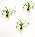 Mkono 2 Pack Wall Hanging Vase Glass Flower Plant Terrarium Planters, Cone