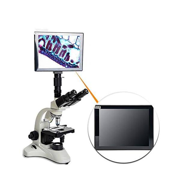 QuRong Professionelles Mikroskop mit optischem Zoom Trinokularmikroskop 1600X für die Reparatur von Leiterplatten… – Bild 6
