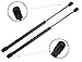 ENA Set of 2 Front Hood Gas Charged Lift Support Compatible with Jeep 2002 2003 2004 2005 2006 2007 Liberty Replacement for 4366 SG314037