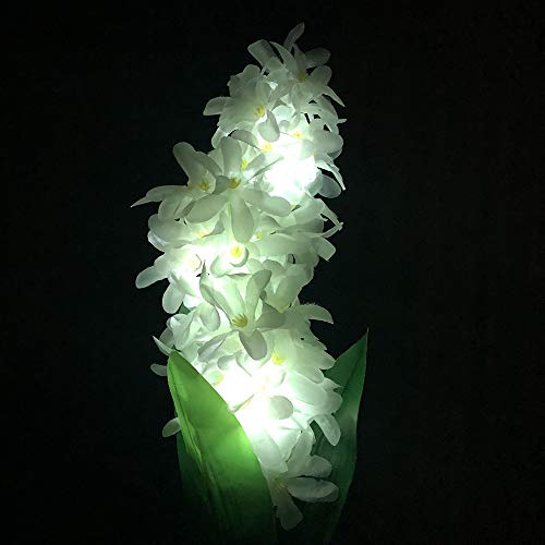 1 Hatop+Hyacinth+Powered+Backyard+Decorations