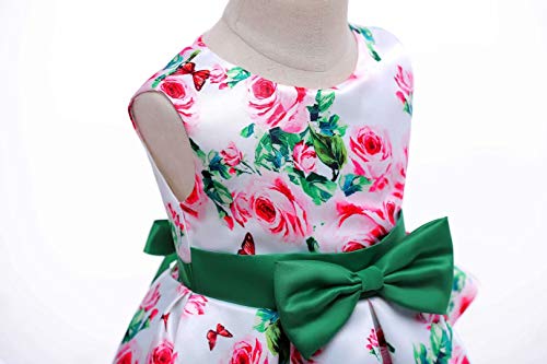 AYOMIS Litter Big Girl Dress Princess Gowns Bow Party Wedding Dresses(Flower-Green,3-4Y)