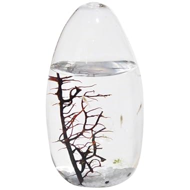 EcoSphere Closed Aquatic Ecosystem, Pod