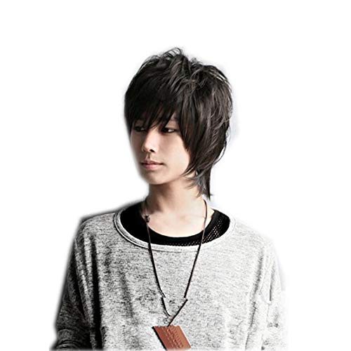 Korean Fashion Men Fluffy Short Curly Wig Natural Black Price In