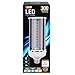 Feit Electric C4000/5K/LED LED Light Bulb, Yard, Yard Light