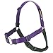 SENSE-ation No-Pull Dog Harness - Purple Medium