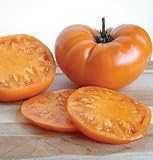 David's Garden Seeds Tomato Beefsteak Brandywine