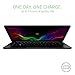 Razer Blade Stealth RZ09-01964E31-R3U1 13.3
