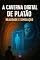 Livro Caverna Digital de Platão : Realidade e Simulação