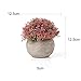 T4U Artificial Succulent Plants Potted, Mini Fake Colorful Lifelike Flowers in Pots for Home Office Wedding Decoration Pack of 6