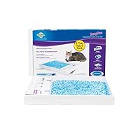 PetSafe ScoopFree Self-Cleaning Cat Litter Box Tray Refills with Premium Blue Non-Clumping Crystals - 3 Pack