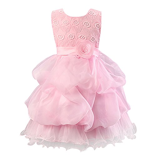 Kids Girls Organza Embroidered Dress for Sepcial Occasion Pink 110