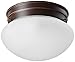 Nuvo Lighting 60/2641 Single Light Small Mushroom Flush Mount Ceiling Fixture with Frosted Glass Shade