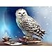 Dylan's cabin DIY 5D Diamond Painting - Full Drill Rhinestone Paint With Diamonds Home Wall Decor（art/16x12inch