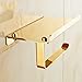 AUSWIND Antique Gold Polished Toilet Paper Holder with Phone Display Holder Cover Stainless Steel Wall Mounted Bathroom Accessory (Gold)
