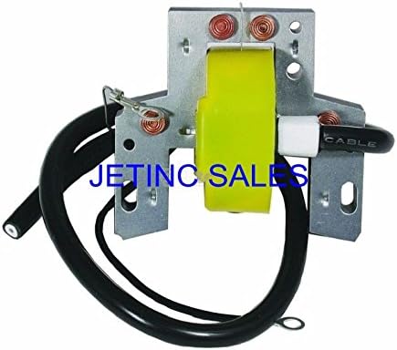 IGNITION COIL MODULE BRIGGS &amp; STRATTON PART # 298968