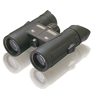 Steiner Ranger Xtreme 8×32 Binoculars