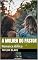 Livro A Mulher Do Pastor: Romance lésbico