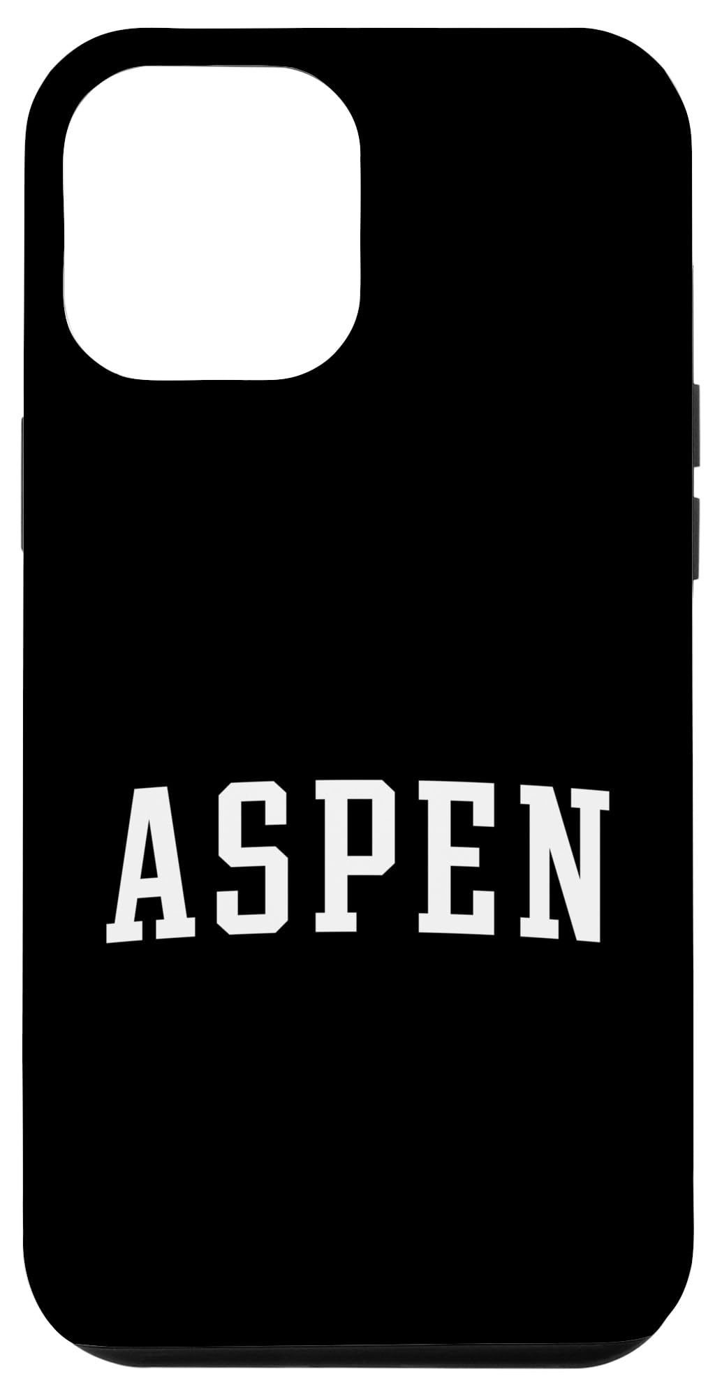 iPhone 15 Pro Max Aspen Classic Case