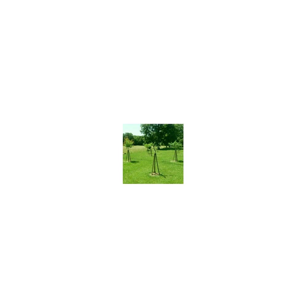 Tuteur Facile Tripode de sujeción de árbol 0, 75 m: Amazon.es: Jardín
