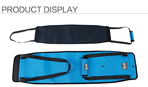 Dog Lift Harness - Support Sling Helps Dogs with Weak Front or Rear Legs Stand Up, Walk, Get Into Cars, Climb Stairs. Best Alternative to Dog Wheelchair - Gray - S