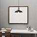 LNC Pendant Lighting for Kitchen Island Barn Hanging Lamp with Paint Baking Finish for Dining Room, Bar Counter, A0190701, Black