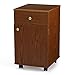Arrow 800 Suzi Sidekick Portable Sewing, Crafting, and Quilting Storage and Organization Cabinet, Oak Finish