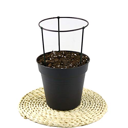 Creation Core 3Pcs Plastic Plant Support Stakes Lodging-Resistant Flower Supports DIY Garden Pot Climbing Trellis - Thumbnail 7