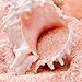 The Spice Lab Himalayan Salt - Coarse XL Grinder With Refill (30 oz) - Pink Himalayan Salt is Nutrient and Mineral Dense for Health - Gourmet Pure Crystal Kosher & Natural Certified