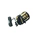 Shimano Triton TLD25 Lever Drag Graphite Fishing Reel