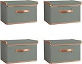 Tuza 4 Pack Storage Bins with Lids, Collapsible