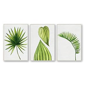 Framed Canvas Wall Art for Living Room, Bedroom Beautiful Plants Cactus Canvas Prints for Home Decoration Ready to Hanging - 16"x24"x3 Panels